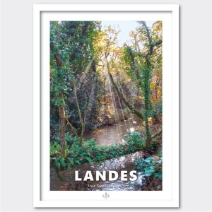 40  Landes, une forêt galerie.