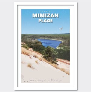 Dune, étang, lac, forêt, ciel, mouette, goéland
